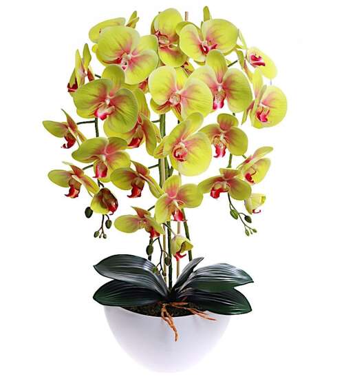 Limonkowy storczyk orchidea sztuczne kwiaty 60 cm 3pgz