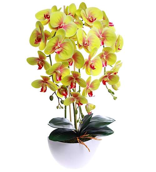 Limonkowy storczyk orchidea sztuczne kwiaty 60 cm 3pgz