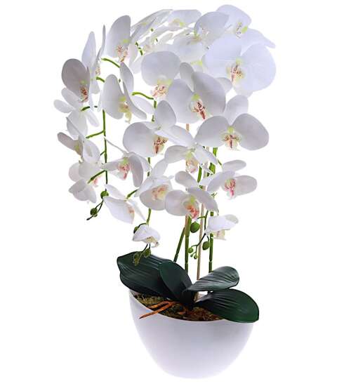 Biały storczyk orchidea- kompozycja kwiatowa 60 cm 3PGB