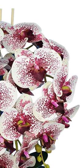 Różowo biały storczyk orchidea- kompozycja kwiatowa 60 cm 3pgbk