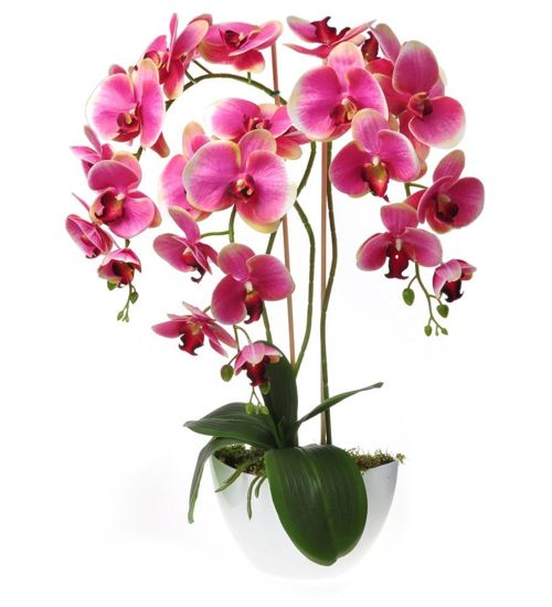 Sztuczny storczyk orchidea- kompozycja kwiatowa 60 cm 3PGRC