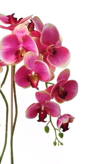 Sztuczny storczyk orchidea- kompozycja kwiatowa 60 cm 3PGRC