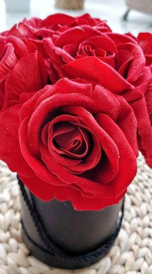 Flower box- śliczne czerwone róże na prezent /FL15 S243/