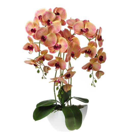 Storczyk orchidea- dekoracyjna kompozycja kwiatowa 60 cm 3PGH
