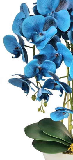 Niebieski sztuczny storczyk orchidea- kompozycja kwiatowa 60 cm 3PGNN