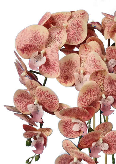 Piękny storczyk orchidea- kompozycja kwiatowa 60 cm 3pgsf