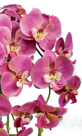 Różowy storczyk orchidea- sztuczne kwiaty 60 cm 3pgr2