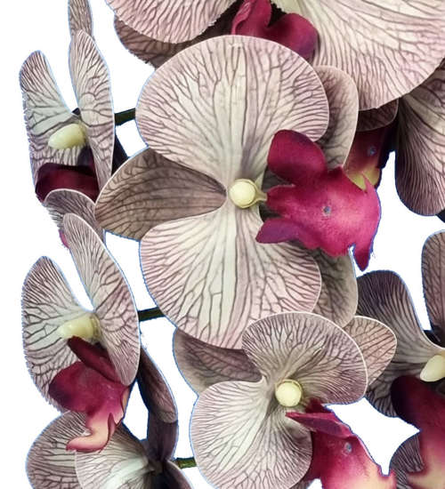 Śliczny storczyk orchidea- sztuczne kwiaty 60 cm 3pgsi