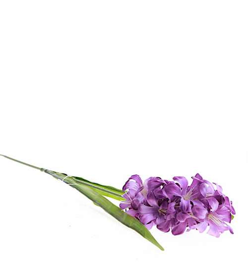 Kwiat Hiacynt jak żywy  /KW18 LOK H2 K003/