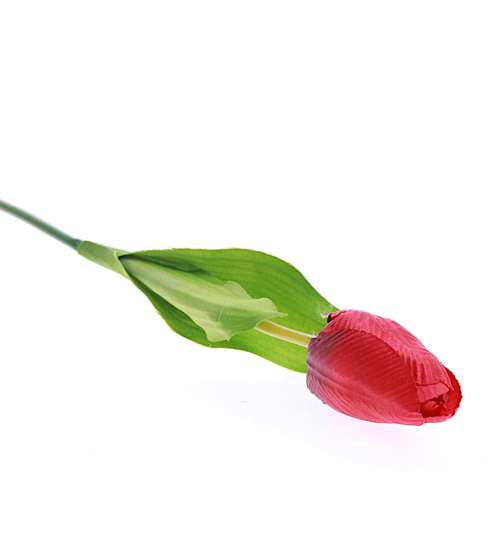 Czerwony tulipan Jak żywy /KW42 LOK K70 H2 K001/