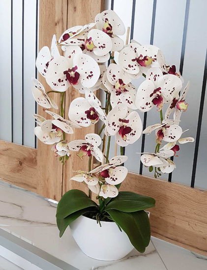 Sztuczny storczyk orchidea- kompozycja kwiatowa 60 cm 3PGK