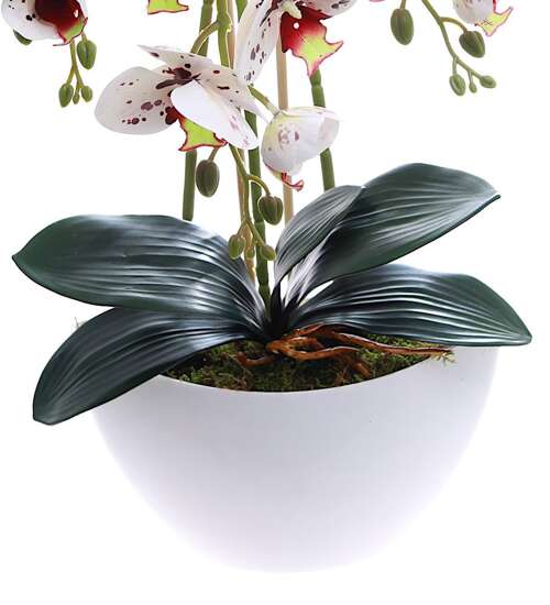 Sztuczny storczyk orchidea- kompozycja kwiatowa 60 cm 3PGK