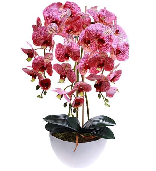 Sztuczny storczyk orchidea- kompozycja kwiatowa 60 cm 3PGRK2