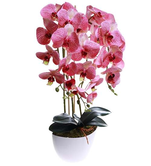 Sztuczny storczyk orchidea- kompozycja kwiatowa 60 cm 3PGRK2