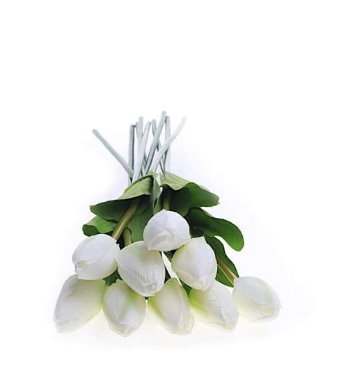 Biały tulipan Jak żywy /KW31 K35 H2 K001/