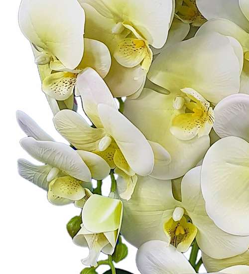Śliczny storczyk orchidea- kompozycja kwiatowa 60 cm 3pgc