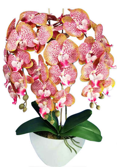 Różowo pomarańczowy storczyk orchidea- sztuczne kwiaty 60 cm 3pgzk