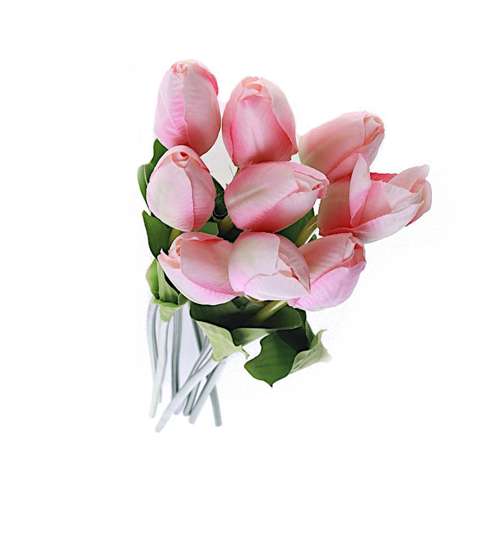 Biało różowy tulipan Jak żywy /KW34 K38 H2 K001/