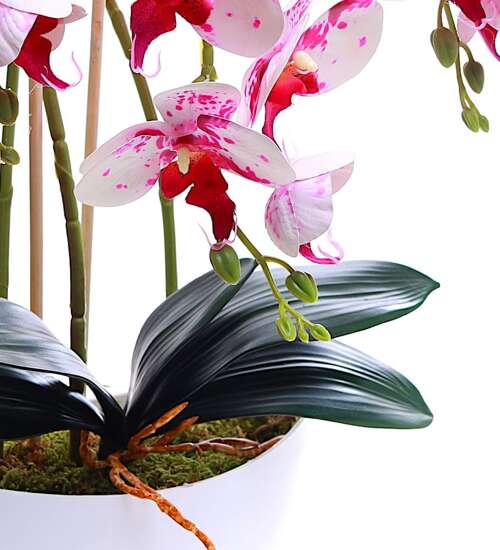 Różowo biały storczyk orchidea- sztuczne kwiaty 60 cm 3pgof