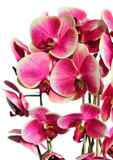 Kolorowy storczyk orchidea sztuczne kwiaty 60 cm 3pgrc