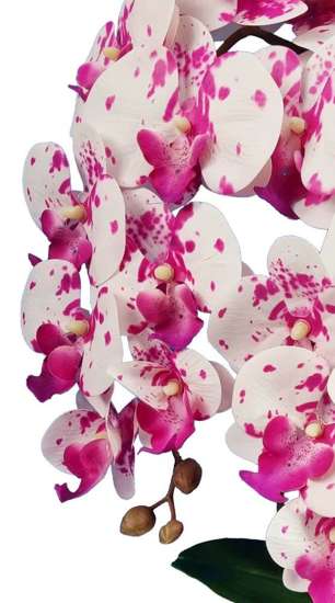 Storczyk orchidea- śliczna kompozycja kwiatowa 60 cm 3pgof