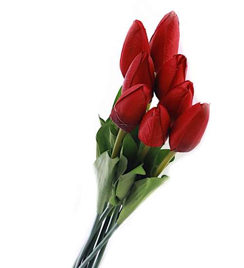 Czerwony tulipan Jak żywy /KW33 LOK  K37 H2 K001/