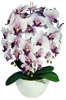 Biało fioletowy storczyk orchidea- kwiaty 60 cm 3PGFKR