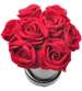 Flower box- śliczne czerwone róże na prezent /FL15 S243/