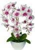 Sztuczny storczyk orchidea- kompozycja kwiatowa 60 cm 3pgbf