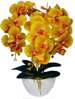 Pomarańczowy storczyk orchidea- kompozycja kwiatowa 60 cm 3PGP