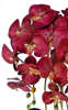 Śliczny fuksjowy storczyk orchidea- kompozycja kwiatowa 60 cm 3pgrr