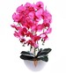 Różowy storczyk orchidea sztuczne kwiaty 60 cm 3pgo