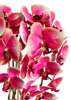 Kolorowy storczyk orchidea sztuczne kwiaty 60 cm 3pgrc