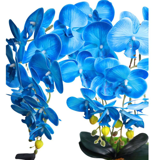 Niebieski storczyk orchidea Kompozycja kwiatowa 5 Pędów 60 cm KOMp62 S349