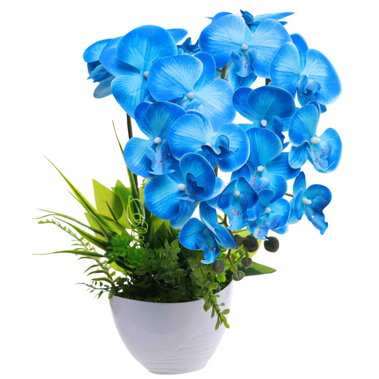 Niebieski storczyk orchidea Kompozycja kwiatowa 2 Pędowy 50 cm KOMp92 S340