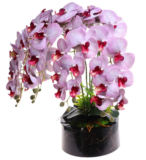 Fioletowo biały storczyk orchidea Premium 6 pędów 65 cm K118