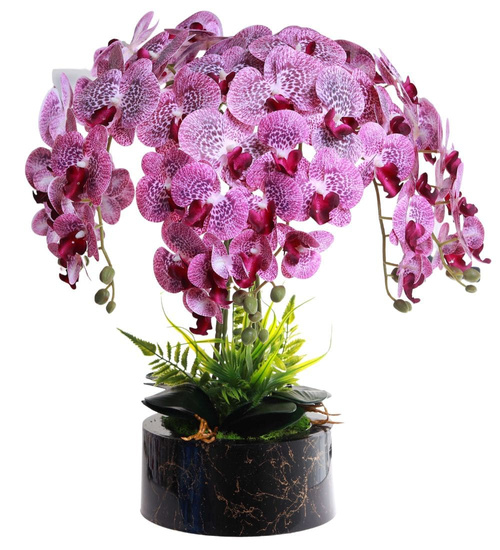 Fioletowy storczyk orchidea Premium 6 pędów 65 cm K97