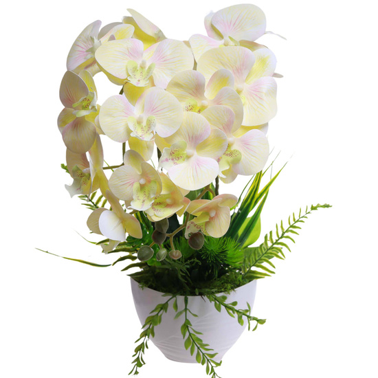 Żółty storczyk orchidea Kompozycja kwiatowa 2 Pędowy 50 cm KOMp87 S340