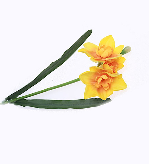 Pomarańczowy żonkil jak żywy /KW25 K16 H2 K245/