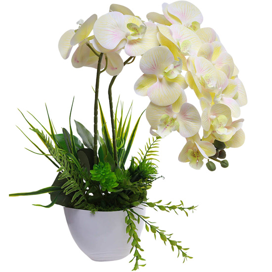 Żółty storczyk orchidea Kompozycja kwiatowa 2 Pędowy 50 cm KOMp87 S340