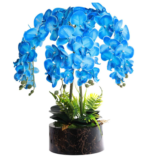 Niebieski storczyk orchidea Premium 6 pędów 65 cm K98