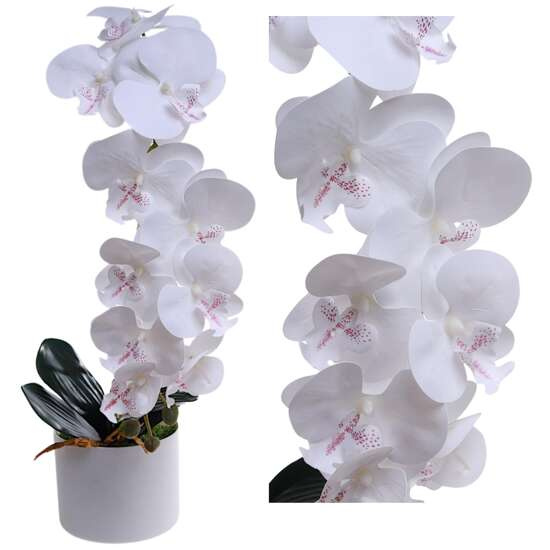 Biały storczyk orchidea Kompozycja kwiatowa 1 Pęd 55 cm KOMp67 S240