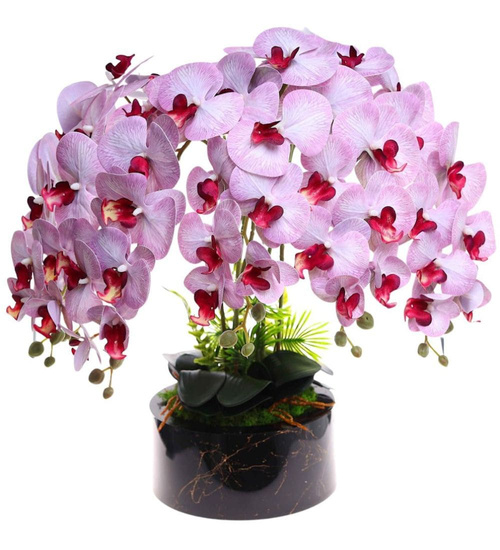 Fioletowo biały storczyk orchidea Premium 6 pędów 65 cm K118