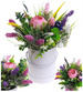 Flower box- kolorowe wrzosy na prezent /FL57 M30/