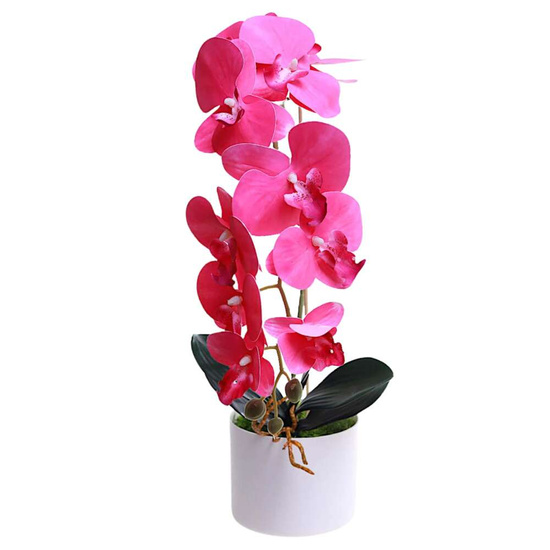 Fuksjowy storczyk orchidea Kompozycja kwiatowa 1 Pęd 55 cm KOMp68 S240