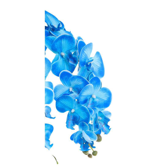 Niebieski storczyk orchidea Premium 6 pędów 65 cm K98