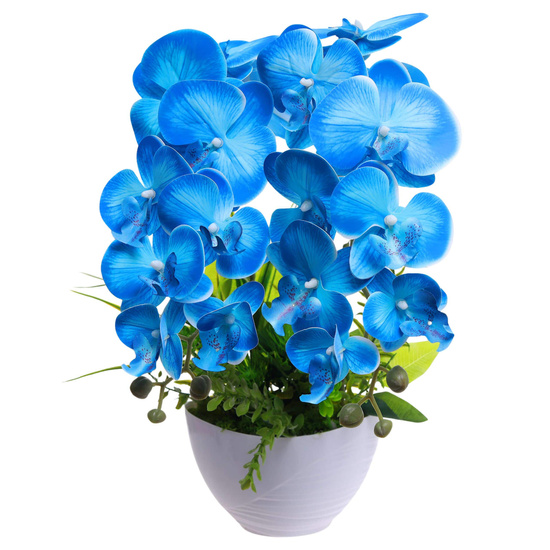 Niebieski storczyk orchidea Kompozycja kwiatowa 2 Pędowy 50 cm KOMp92 S340