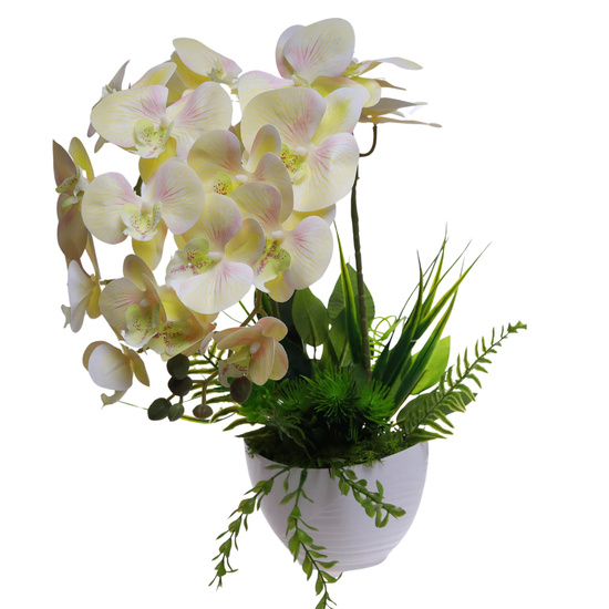 Żółty storczyk orchidea Kompozycja kwiatowa 2 Pędowy 50 cm KOMp87 S340