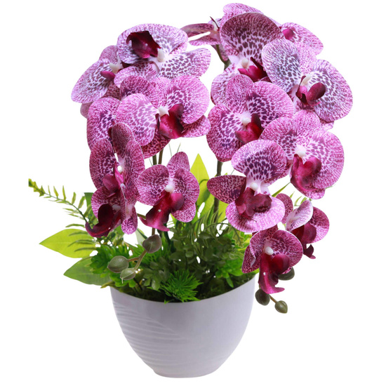 Fioletowy storczyk orchidea Kompozycja kwiatowa 2 Pędowy 50 cm KOMp89 S340