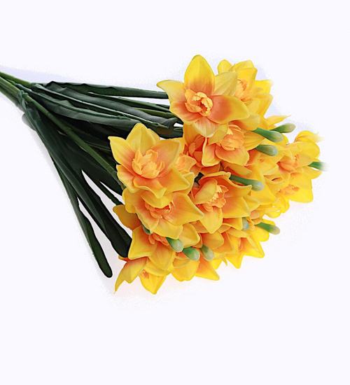 Pomarańczowy żonkil jak żywy /KW25 K16 H2 K245/